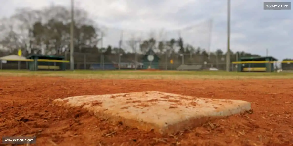 行业领先的理由